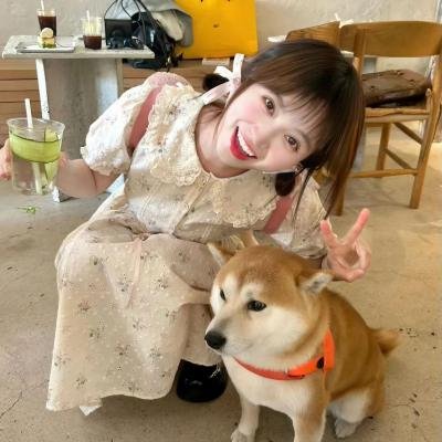 你是人间理想 在线观看